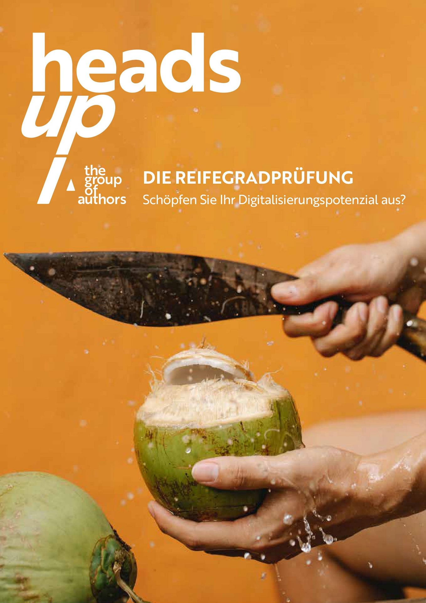 headsup-Quantum-Digital-Reifegradpruefung headsup Quantum Digital Reifegradpruefung scaled